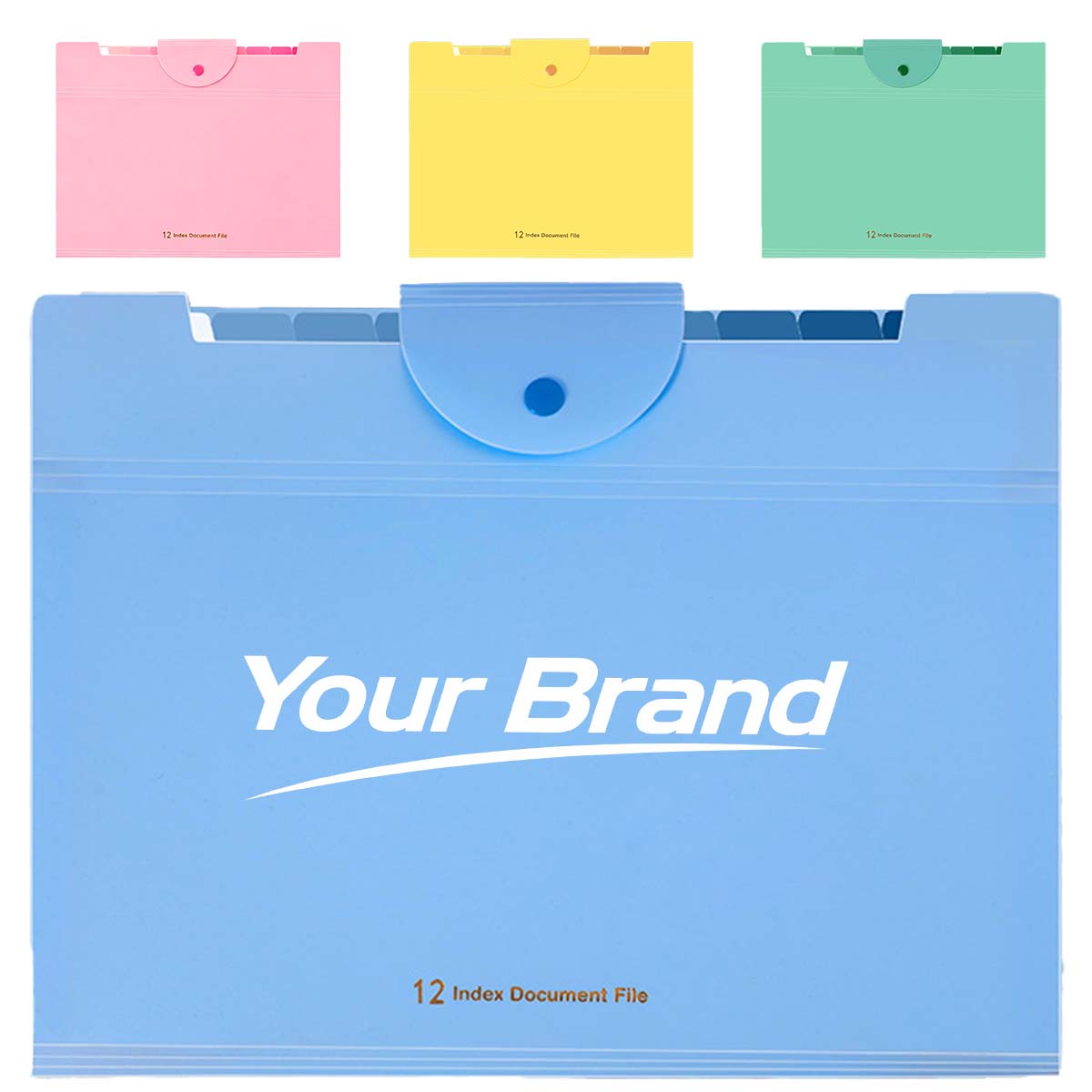 Expandable Accordion Document Organizer File Folder