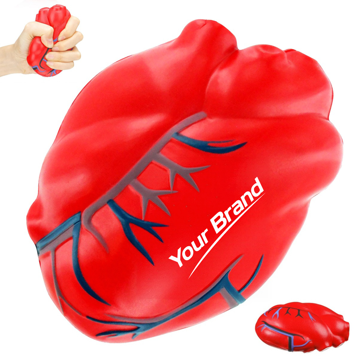 Anatomical Heart PU Foam Stress Reliever Toy